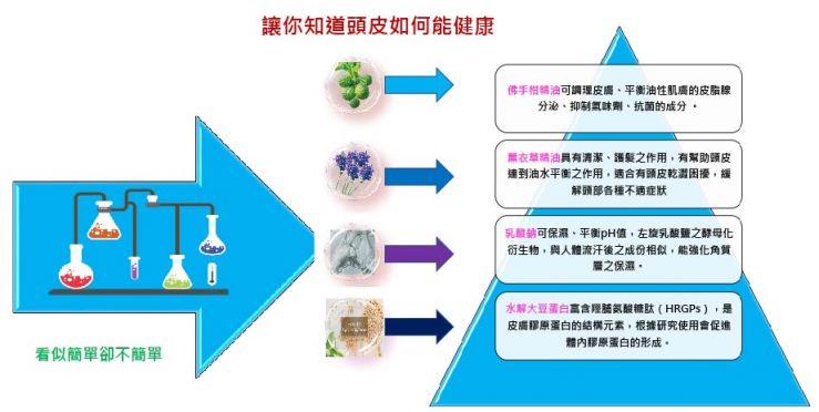 植研多酚的概念圖-01.jpg